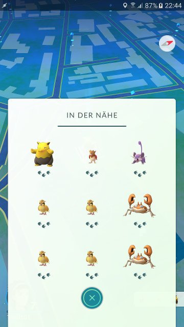 Pokémon Go : In der Nähe